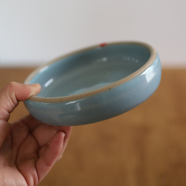 Platform Dish